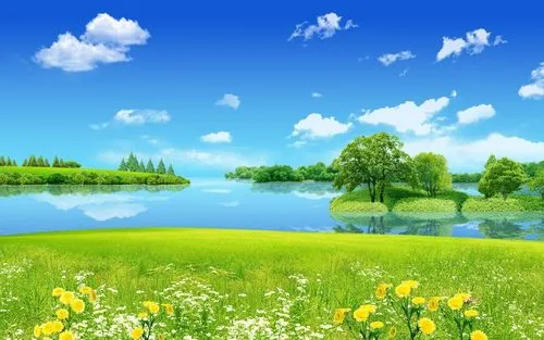 全自动节能高精度